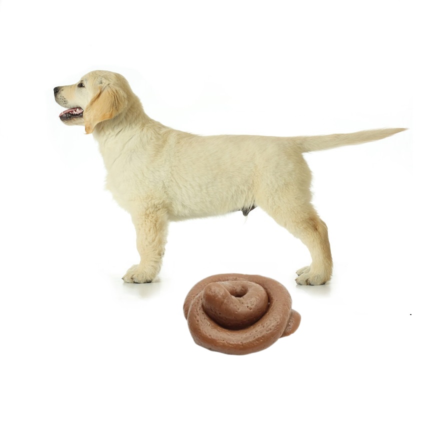 Fake Poop Gag Gift - لعبة مضحكة على شكل براز قابلة