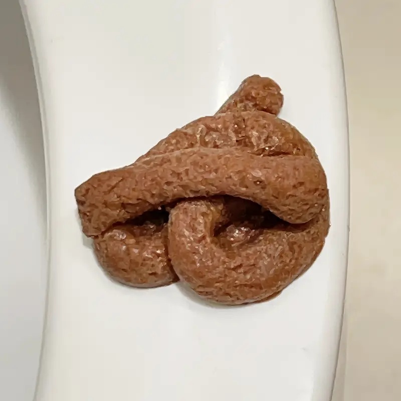 لعبة مزحة وهمية عائمة واقعية،  - مراجعة Fake Poop Gag Gift وسعره
