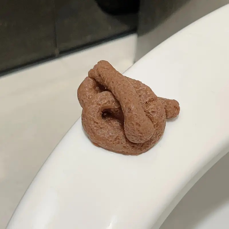 لعبة مزحة وهمية عائمة واقعية،  - مراجعة Fake Poop Gag Gift وسعره