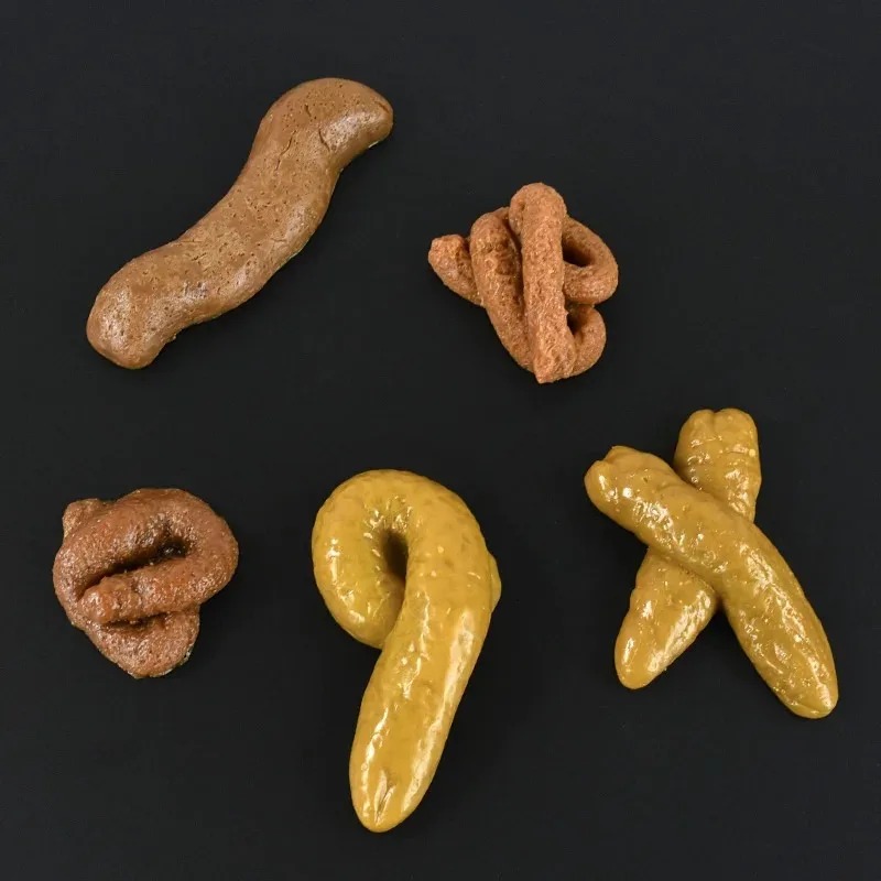 لعبة محاكاة براز واقعي آمنة ون - مراجعة Fake Poop Gag Gift وسعره